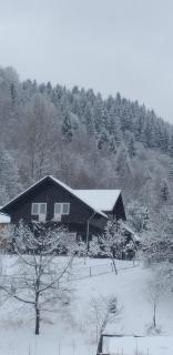 Casa Bunicii Moieciu - 0