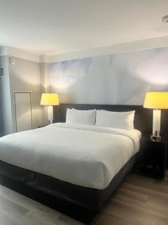 Four Points by Sheraton New York Downtown - 6