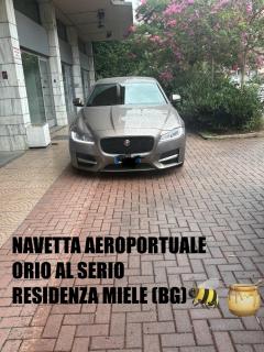 Residenza Miele - 9