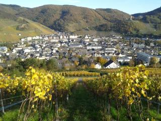 Moseltalblick - Bernkastel-Kues - 1