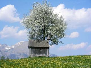 Ferienwohnung Bergblick - Gallzein - 7