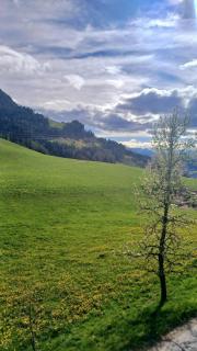 Ferienwohnung Bergblick - Gallzein - 4