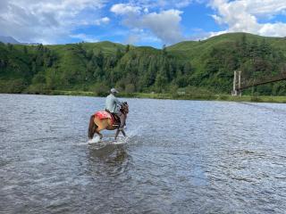 Mountain Homestay Mechukha - 1