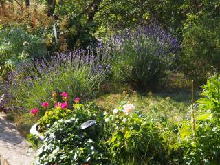 Une Heure Bleue - Manosque - 3