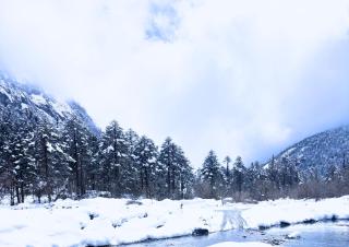 Mountain Homestay Mechukha - Mechuka - 5