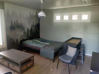 Vierastalo Koivu - 9