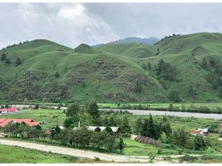Mountain Homestay Mechukha - Mechuka - 7