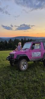 Leśny Dwór Bieszczady - Ustrzyki Dolne - 8