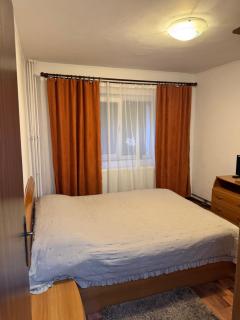 Orchid Apartment - Râmnicu Vâlcea - 2