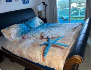 Beachfront Three Bedroom apt with Jacuzzi - 4