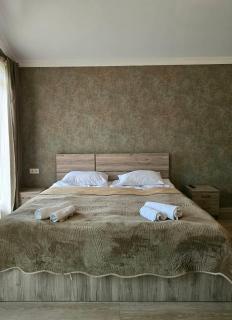 Big Cottage in Bakuriani Cir - 4BR - 1