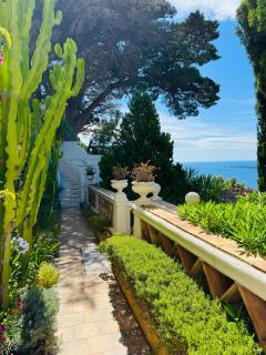 Somptuous exotic villa in Cannes - Cannes - 4