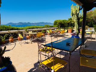 Somptuous exotic villa in Cannes - Cannes - 9