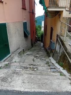 La Ciliegia - 9