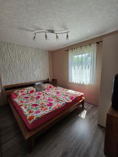 Apartma Plevnik - 6