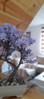 Holiday Home Krejović - Žabljak - 1