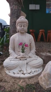 Camping luz do sol - 4