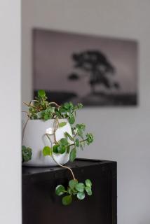 Arch Window garden apartment - Stellenbosch - 5