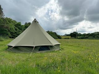 WithamCamp - 8
