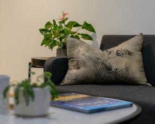 Arch Window garden apartment - Stellenbosch - 7