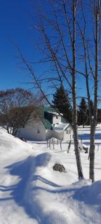 Holiday Home Krejović - Žabljak - 9