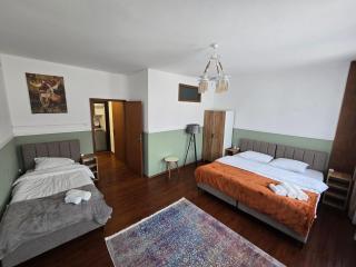 OLDNEW Apartments & Rooms - Prizren - 9