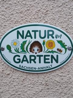 Gasthaus Schmidt's - Haldensleben - 9