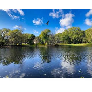 Home in Tampa - Wesley Chapel - 6