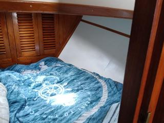 Deluxe romantic boat - Hoogeveen - 6