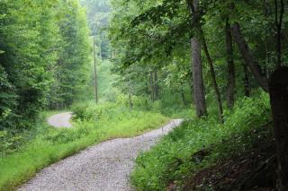 Diamond Creek | Sleeps up to 6 - Patriot - 8