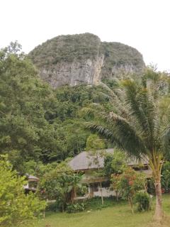Nature Bungalow & Camp - Phatthalung - 7