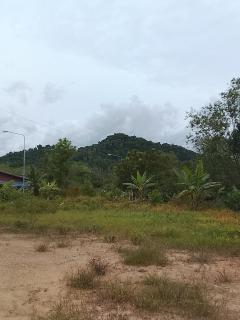 Nature Bungalow & Camp - Phatthalung - 1