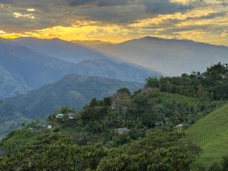 Finca turística Villa Carolina - 4