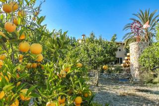 Luxury Villa Es Molinet - 2