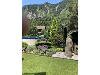 Steinwender Elisabeth - 5