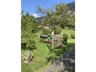 Steinwender Elisabeth - Döbriach - 8