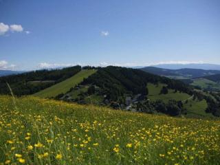 Holiday apartment with 2 bedrooms - Zirkitz - 0
