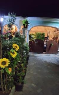Sunflower Place - 2
