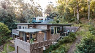 Treetops by the Sea - 0