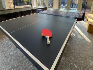 Peaceful tropical retreat with pool, mineral spa & Games room - 4