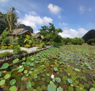 Hang Mua Luxury Homestay - Xuân Sơn - 7