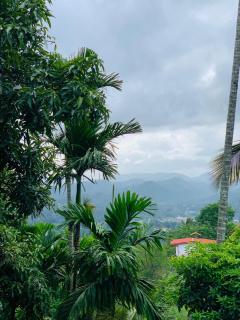 Spring Hills Villa - Kandy - 7