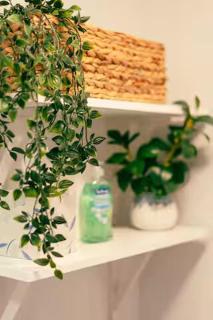 Cozy, Beautiful Apartment at Avanti Cove - Conneaut Lake - 3