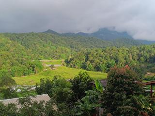 อินทนนท์สุขุมทิพย์ โฮมสเตย์ - - 6