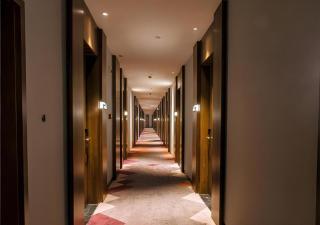 Borrman Hotel Qianjiang High-speed Railway Station Lobster City - Qianjiang - 6