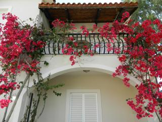 Studio Romantica - Laganas - 7