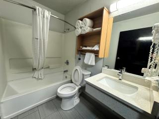 Microtel Inn & Suites by Wyndham Tuscaloosa East - Cottondale - 6