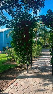 Beautiful Experience - 1