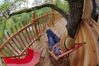 La Cabane du Vieux Chêne - 4