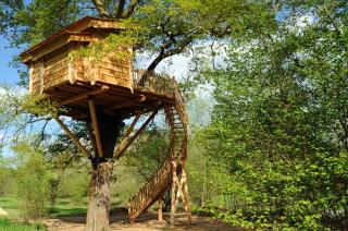 La Cabane du Vieux Chêne - Susmiou - 6